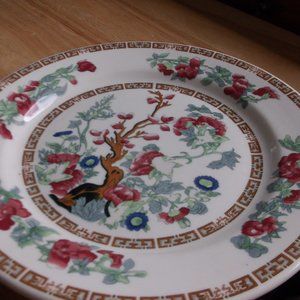 vintage buffalo china plate